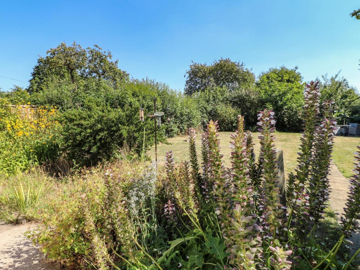 Hops Cottage Ashbourne  Dış mekan fotoğraf